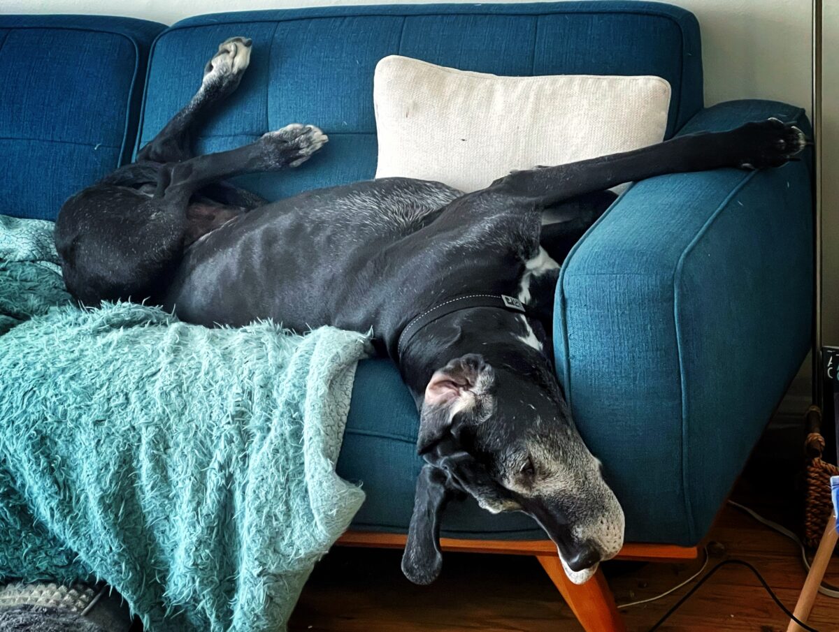 LOS ANGELES, CA, THURSDAY, APRIL 24, 2025, 9:39AM